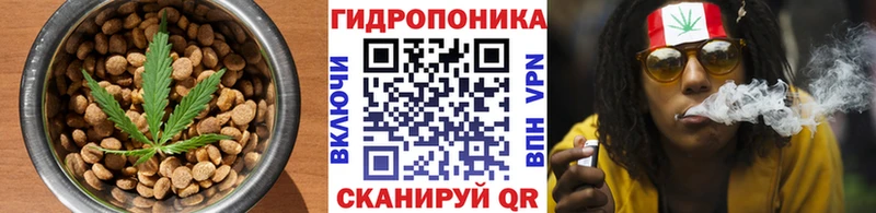 Cannafood конопля  Тосно 