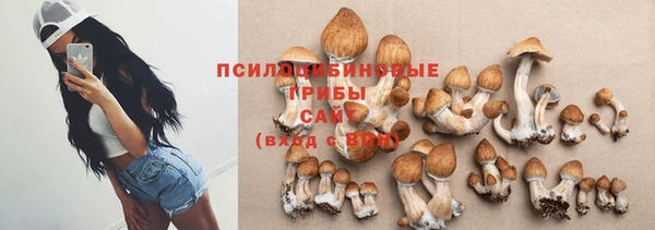 сатива Белоозёрский