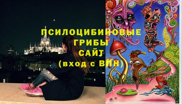 сатива Белоозёрский