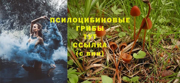 гашишное масло Белокуриха